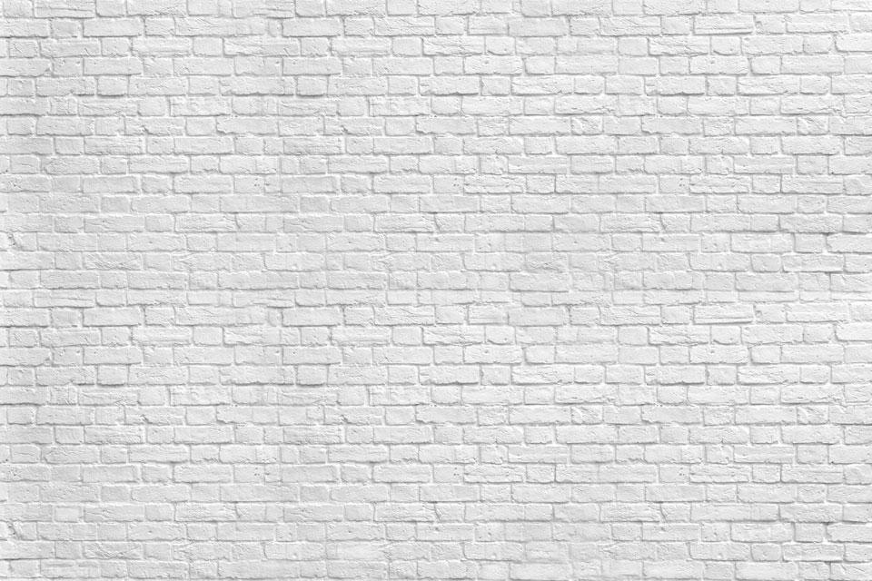 Kate Estudio de telón de fondo de graduación de pared de ladrillo blanco gris