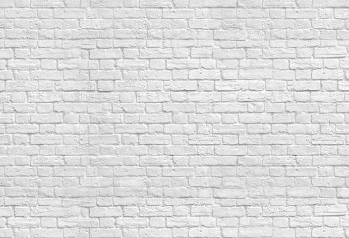 Kate Estudio de telón de fondo de graduación de pared de ladrillo blanco gris
