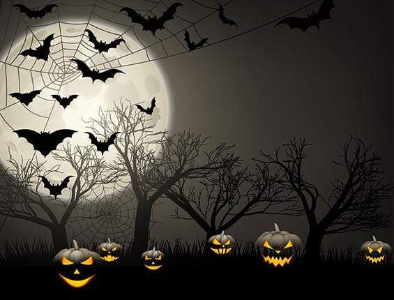 Katebackdrop：Kate Halloween Moon Gloomy Woods with Bats And Pumpkin Backdrop for Photography