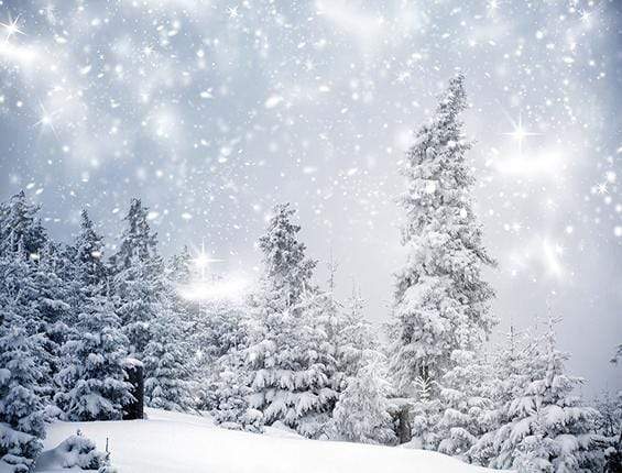 Katebackdrop：Kate Christmas Winter Wonderland With Trees Backdrop for Photography