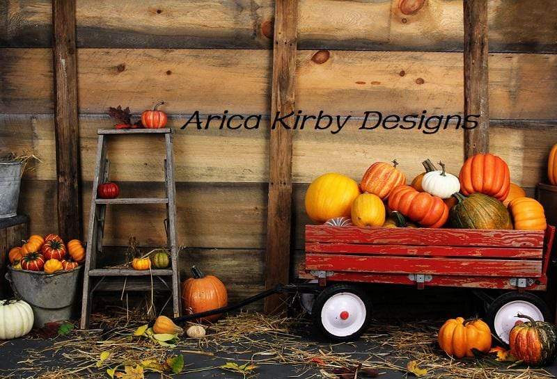 Katebackdrop：Kate Pumpkin Harvest Backdrop Autumn and Halloween designed by Arica Kirby