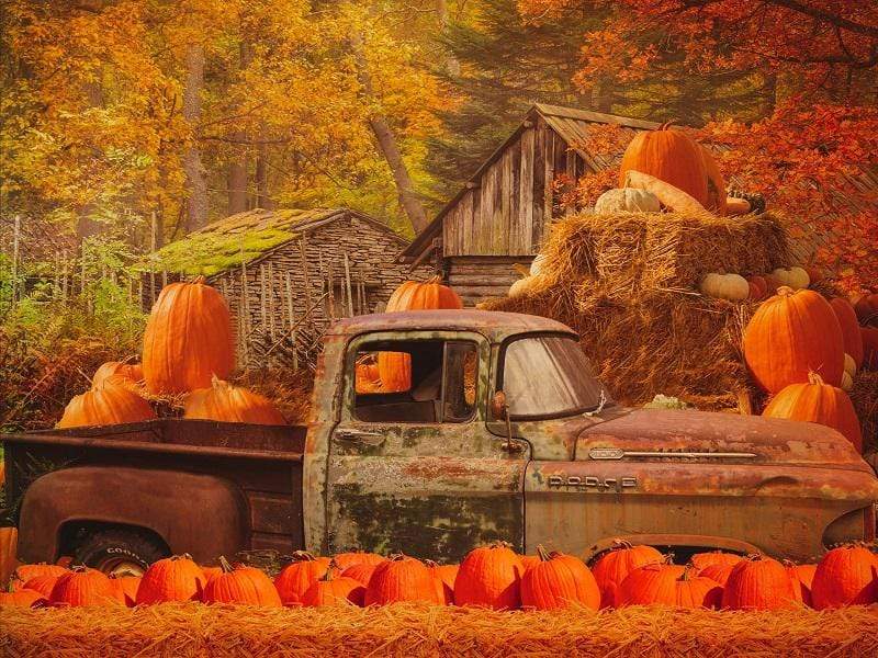 Katebackdrop£ºKate Autumn Maple Forest With Pumpkins And Old Truck for Photography