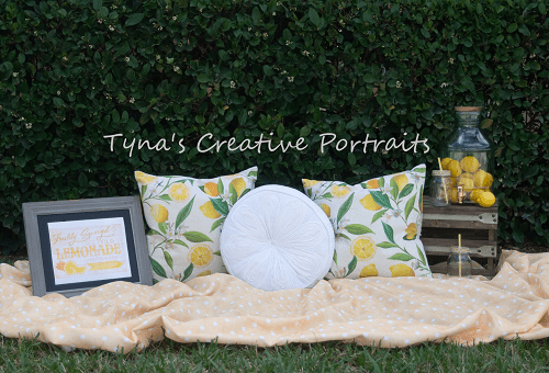 Katebackdrop£ºKate Holiday Picnic Pillows Spring Backdrop for Photography Designed by Tyna Renner