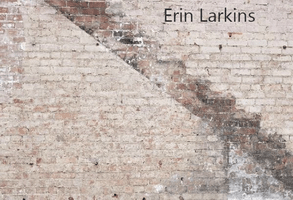 Katebackdrop£ºKate Retro Brickstairs Backdrop for Photography Designed by Erin Larkins