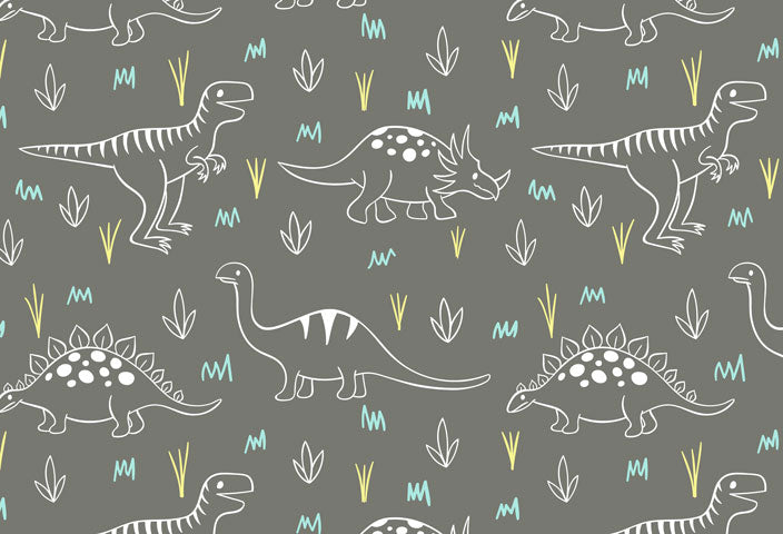 Kate Parque infantil de dinosaurios como telón de fondo para fotografía Diseñado por Amanda Moffatt