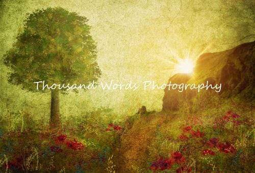 Katebackdrop£ºKate summer painting vintage sunrise Backdrop for Photography Designed by Marina Smith