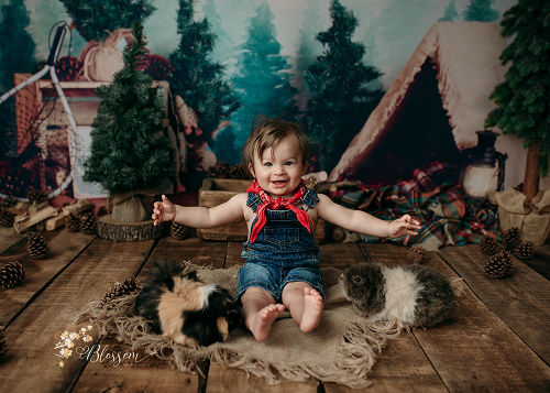 Kate bosque camping niños verano Telón de fondo para fotografía Diseñado por Megan Leigh Photography