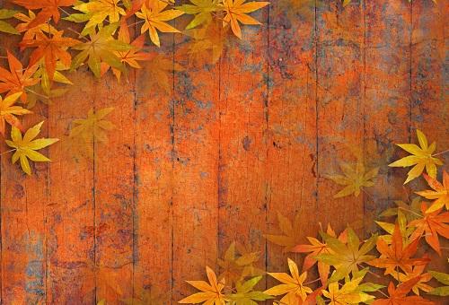 Cargar imagen en el visor de la galería, Katebackdrop£ºKate Autumn Maple Leaf Wooden Backdrops for Photography