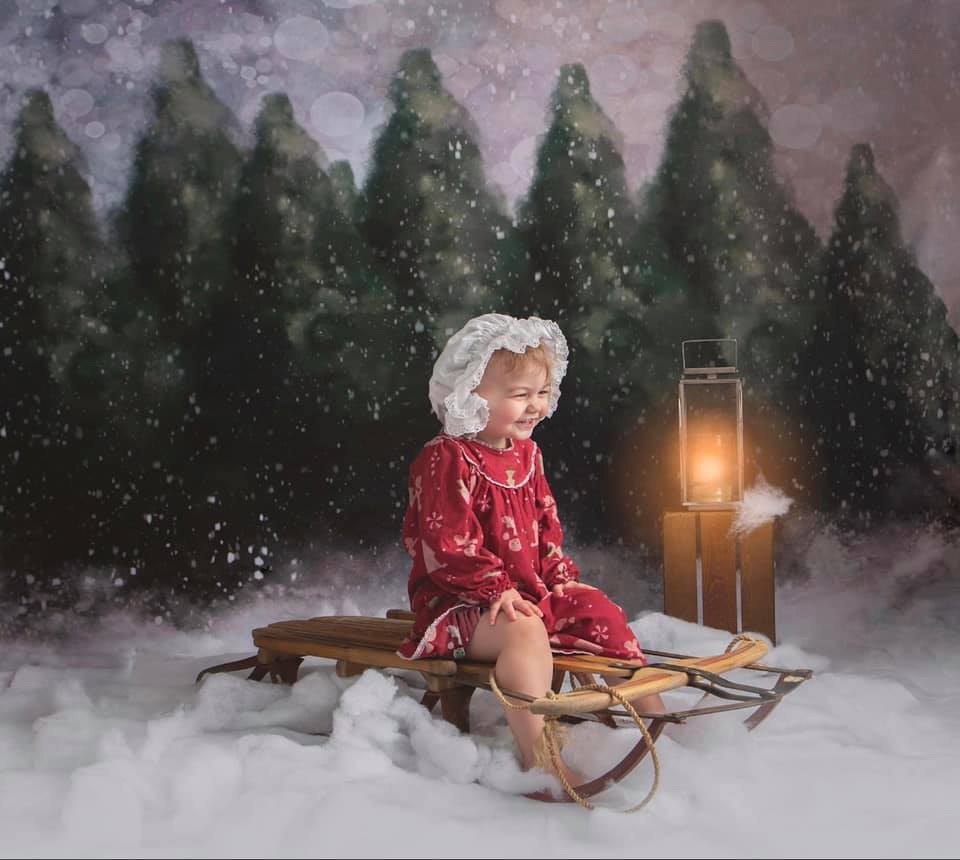 Cargar imagen en el visor de la galería, Katebackdrop：Kate Dazzling Winter Snowy Forest Backdrop for Photography Designed by Modest Brushes