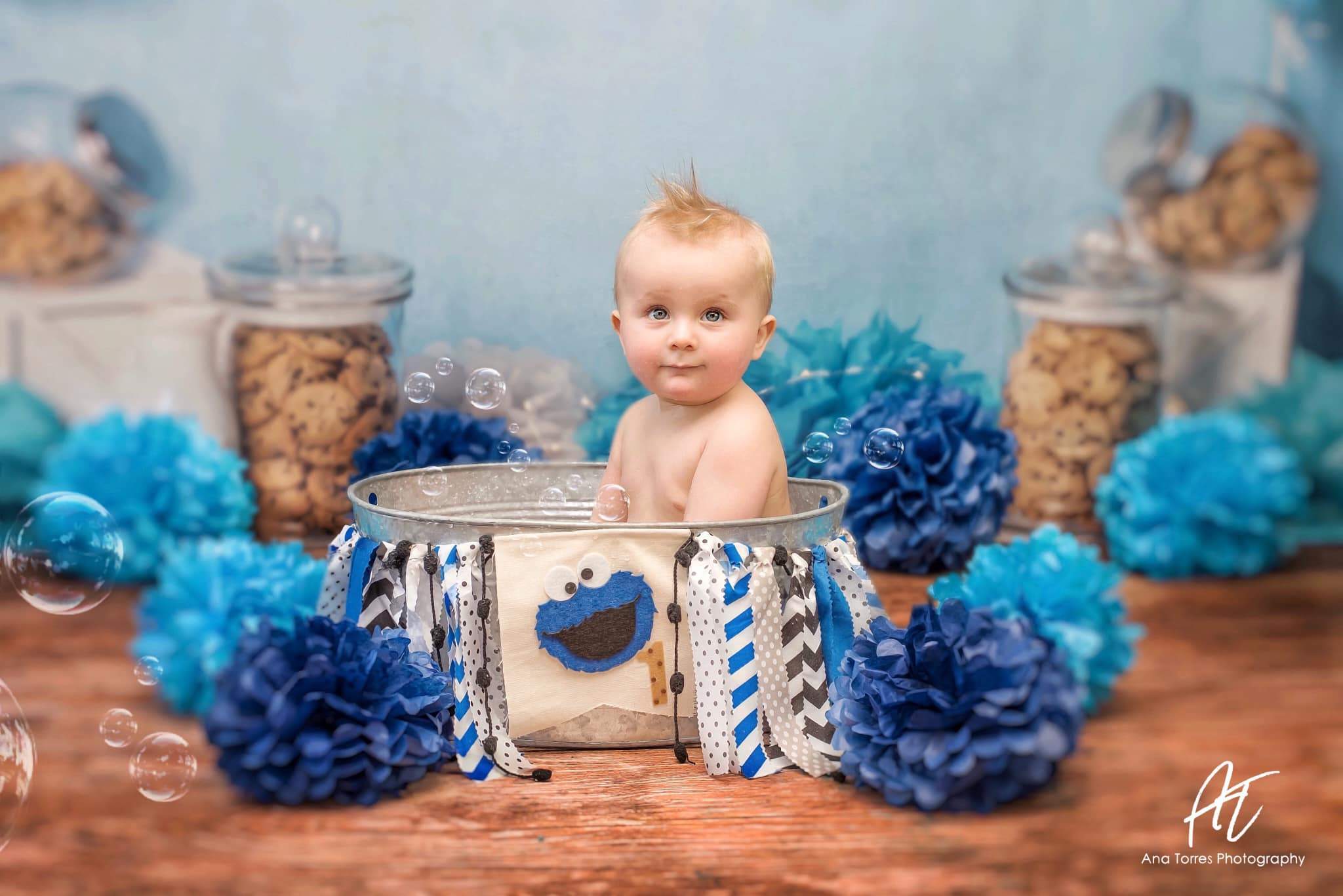 Katebackdrop：Kate Cookie Children Backdrop Designed by Laura Lee Photography