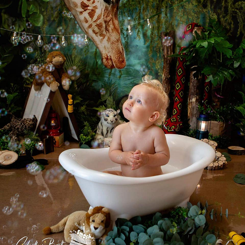 Kate Telón de fondo de la selva cumpleaños bosque niños