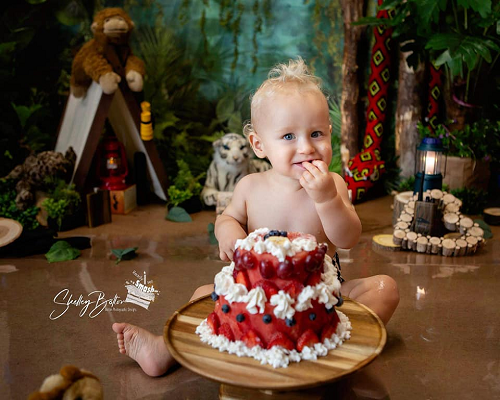 Kate Telón de fondo de la selva cumpleaños bosque niños