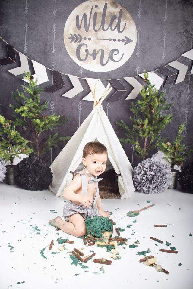 Katebackdrop£ºKate Wild One Boy First Birthday Backdrop Designed By Mandy Ringe Photography