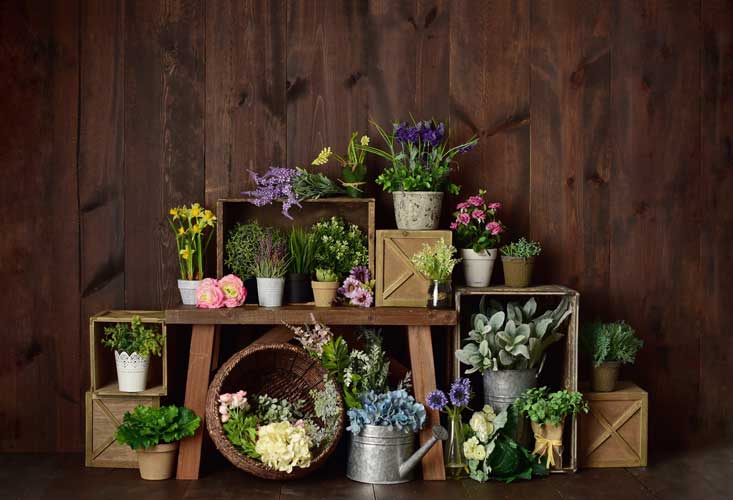 Kate Fondo de cajas de flores de primavera diseñado por Mandy Ringe Photography