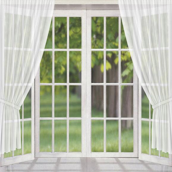 Kate Vista de ventana Telón de fondo de primavera con cortina blanca Diseñado por JS Photography