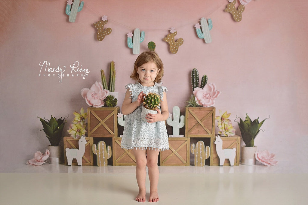 Kate Telón de fondo de primavera amor de San Valentín para fotografía de boda