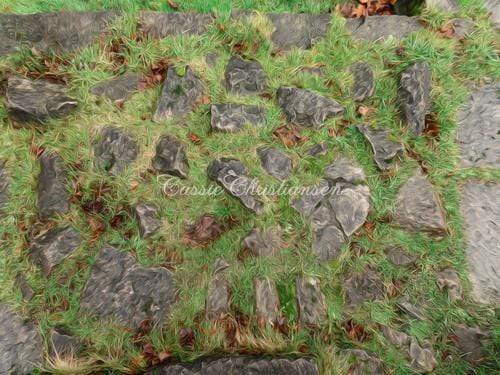 Katebackdrop£ºKate Spring Grass and Rocks Backdrop Designed by Cassie Christiansen Photography