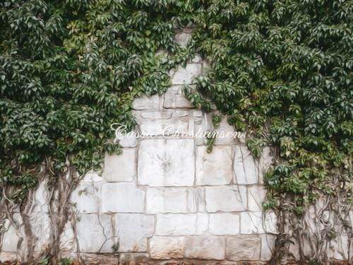 Katebackdrop£ºKate Spring Trees Scenery Backdrop Designed by Cassie Christiansen Photography