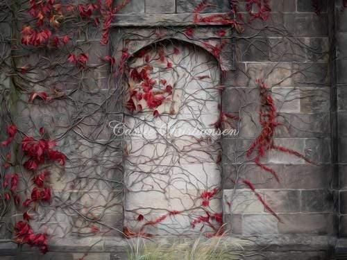Katebackdrop：Kate Vinewall with Red Flowers Building Autumn Backdrop Designed by Cassie Christiansen Photography