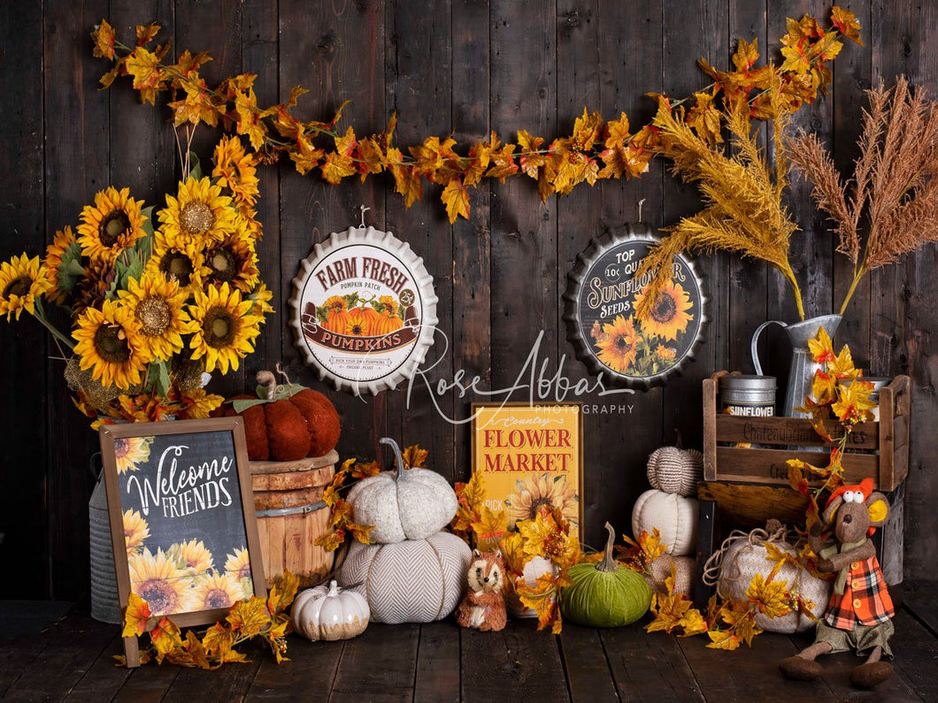Kate Telón de fondo de calabaza de girasol otoñal Otoño