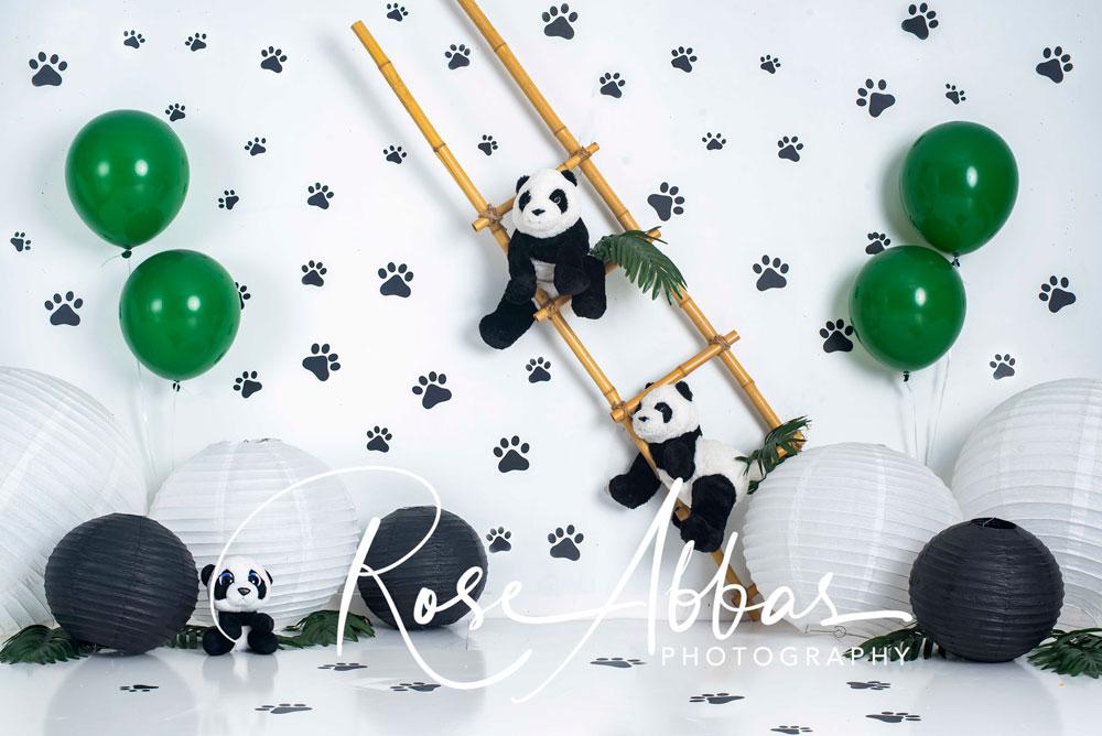 Kate Pata de mascota Panda Telón de fondo para fotografía diseñado por Rose Abbas