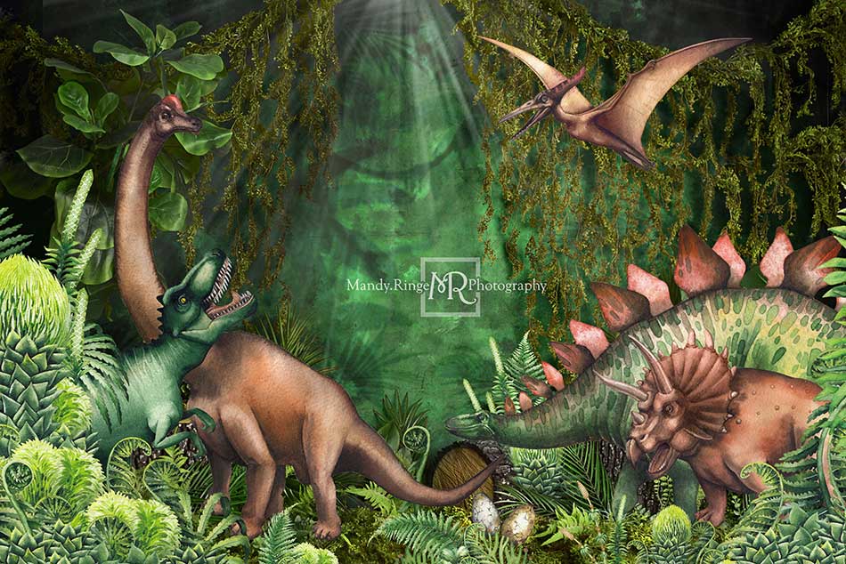 Cargar imagen en el visor de la galería, Kate Fondo de cumpleaños de dinosaurios de aventura en la selva diseñado por Mandy Ringe Photography