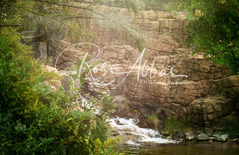 Kate Paisaje de bosque de cascada de fantasía Telón de fondo para fotografía diseñado por Rose Abbas