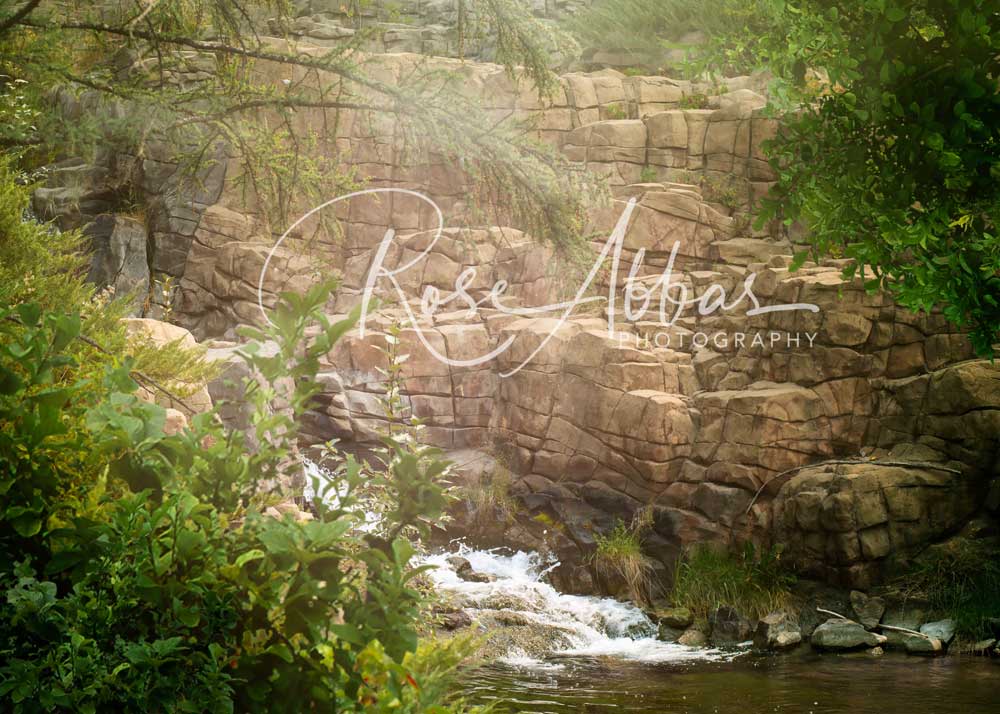 Kate Paisaje de bosque de cascada de fantasía Telón de fondo para fotografía diseñado por Rose Abbas