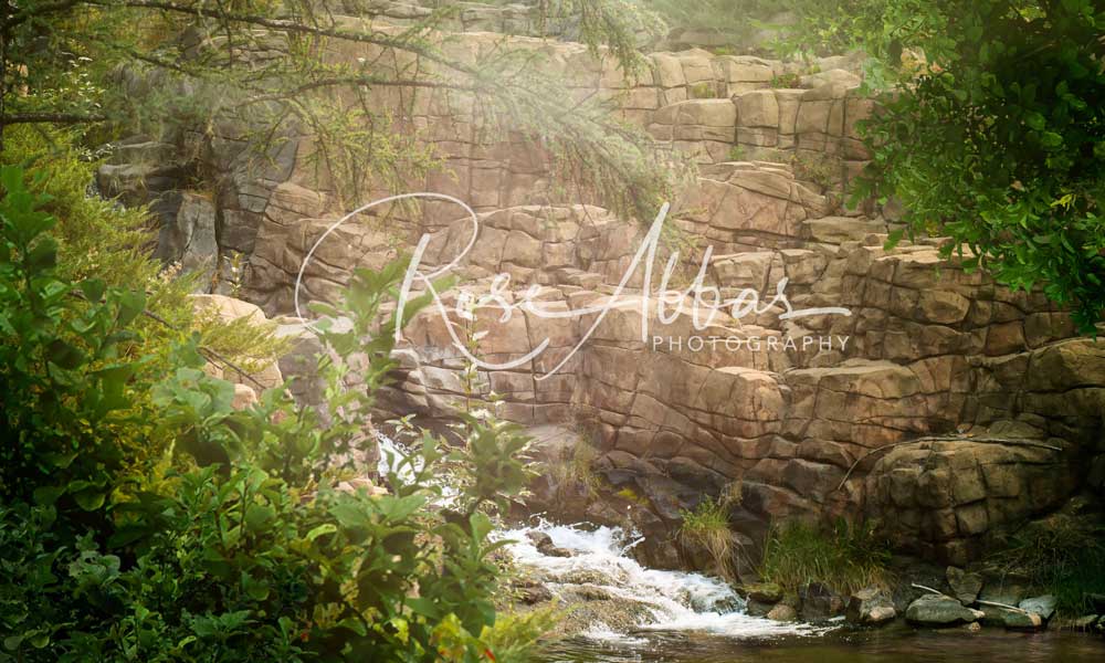 Kate Paisaje de bosque de cascada de fantasía Telón de fondo para fotografía diseñado por Rose Abbas