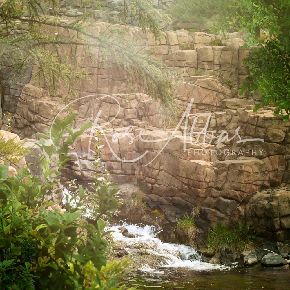 Kate Paisaje de bosque de cascada de fantasía Telón de fondo para fotografía diseñado por Rose Abbas