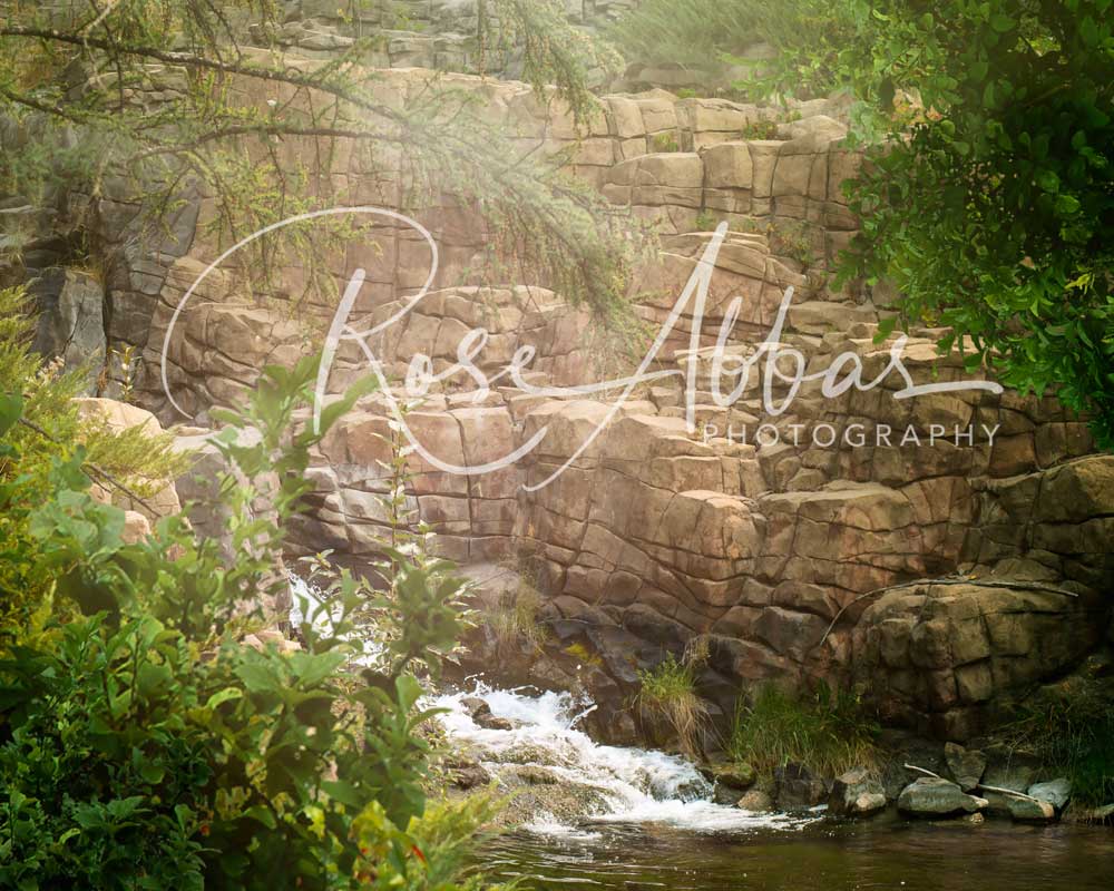 Kate Paisaje de bosque de cascada de fantasía Telón de fondo para fotografía diseñado por Rose Abbas
