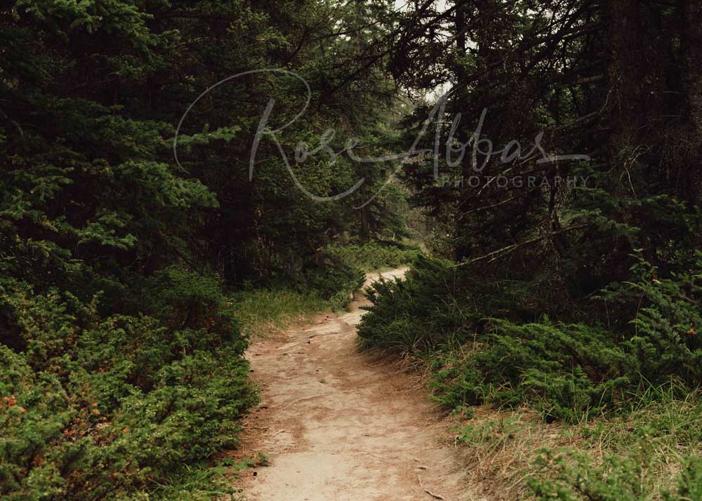 Kate Madera Camino forestal Telón de fondo para fotografía diseñado por Rose Abbas
