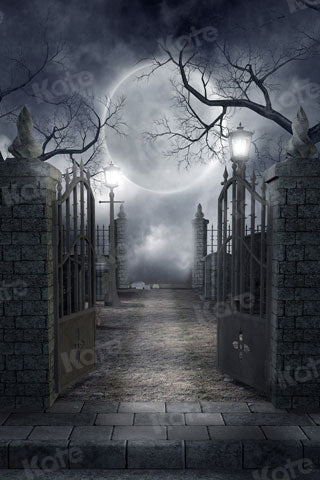 Kate Halloween Noche de luna puerta de Hierro sombrío Telón de fondo para fotografía
