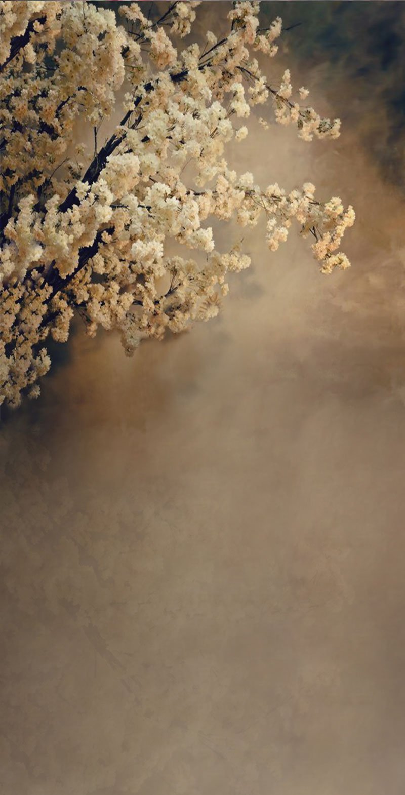 Kate Barrido abstracto con fondo floral para fotografía