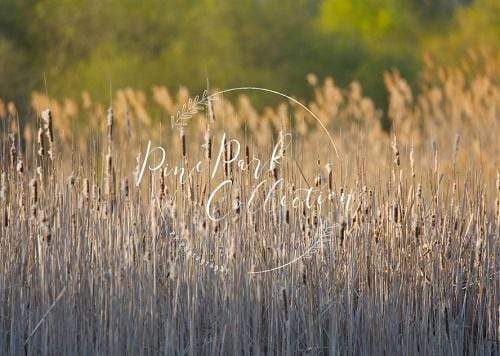 Katebackdrop£ºKate Fall Reeds Scenery Backdrop Designed By Pine Park Collection