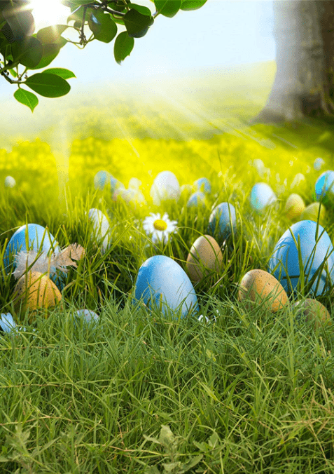 Katebackdrop£ºKate Happy Easter Eggs Spring Flowers Backdrop