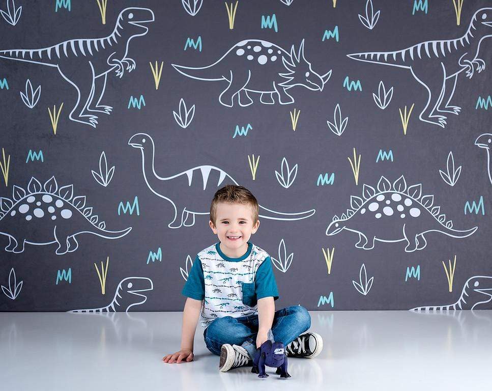Katebackdrop£ºKate Dinosaur Park Children Backdrop for Photography Designed by Amanda Moffatt