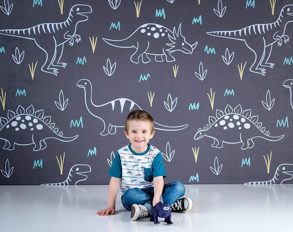 Cargar imagen en el visor de la galería, Katebackdrop£ºKate Dinosaur Park Children Backdrop for Photography Designed by Amanda Moffatt