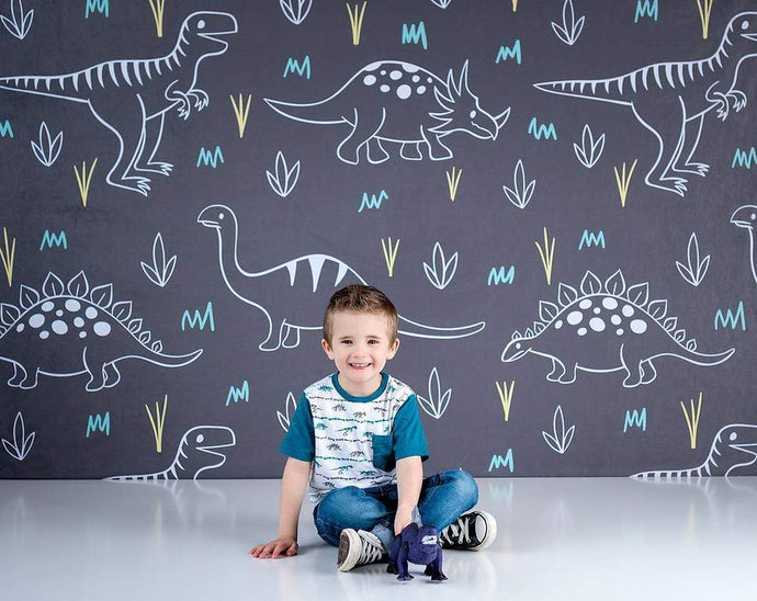 Katebackdrop£ºKate Dinosaur Park Children Backdrop for Photography Designed by Amanda Moffatt