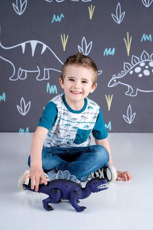 Katebackdrop£ºKate Dinosaur Park Children Backdrop for Photography Designed by Amanda Moffatt