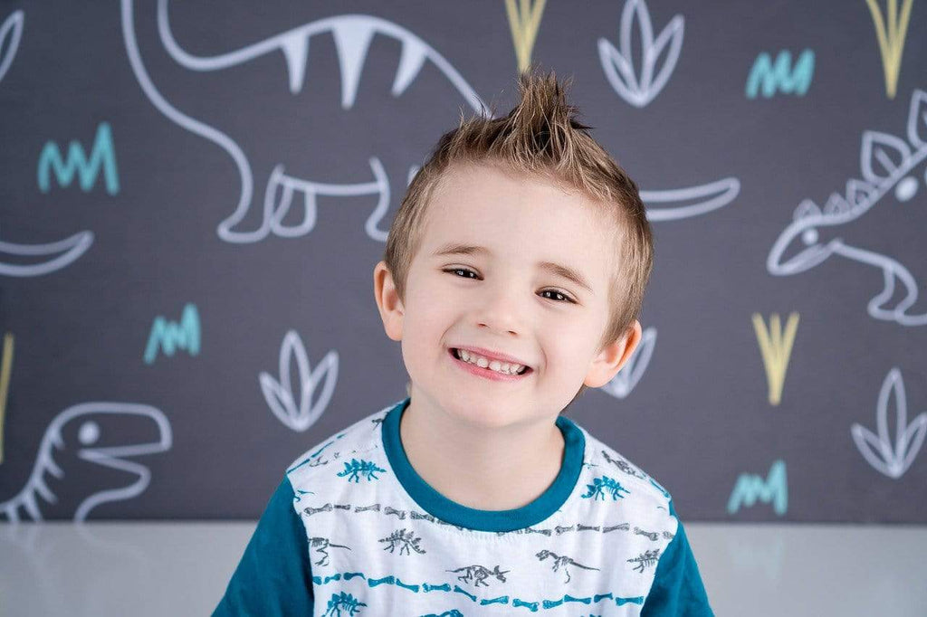 Katebackdrop£ºKate Dinosaur Park Children Backdrop for Photography Designed by Amanda Moffatt