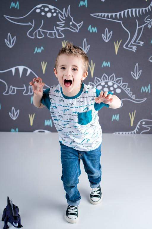 Katebackdrop£ºKate Dinosaur Park Children Backdrop for Photography Designed by Amanda Moffatt