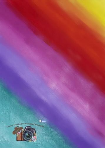 Katebackdrop£ºKate Rainbow Fade Children Backdrop Designed by Leann West