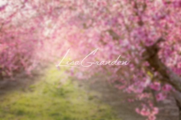 Katebackdrop：Kate Spring Pink Flowers Backdrop for Photography Designed by Lisa Granden