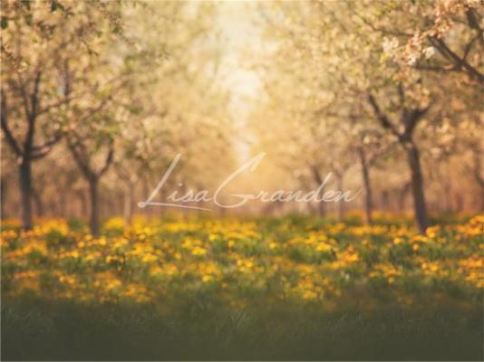 Katebackdrop：Kate Springtime Orchard in Yellow Backdrop for Photography Designed by Lisa Granden