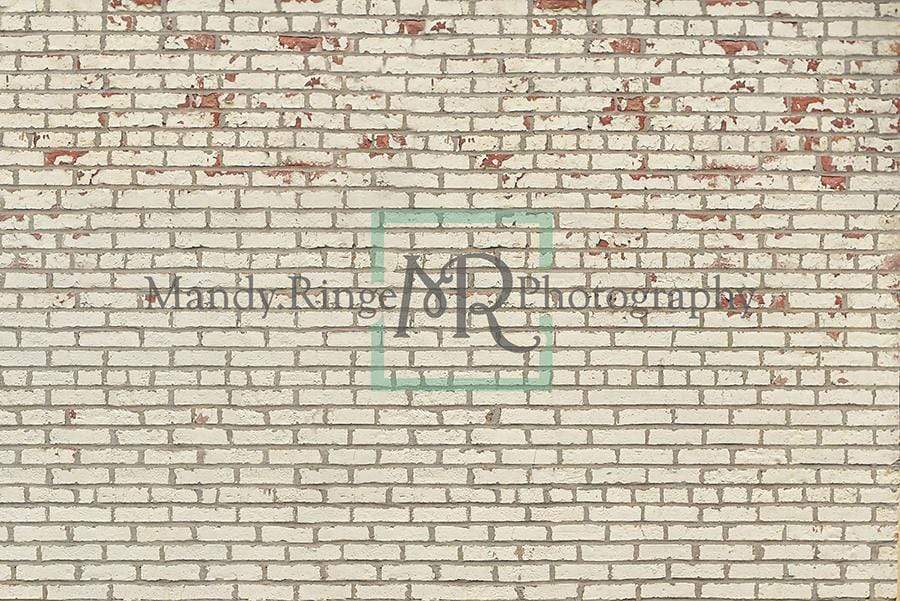 Katebackdrop£ºKate Cream Brick with Thick Lines Backdrop Designed by Mandy Ringe Photography
