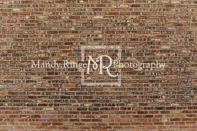 Katebackdrop£ºKate Vintage Brown Brick Backdrop Designed by Mandy Ringe Photography