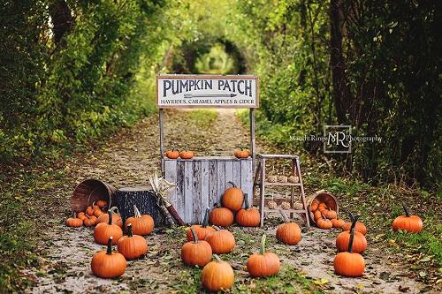 Kate Soporte de calabaza de otoño / acción de gracias diseñado por Mandy Ringe Photography