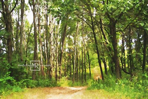 Kate Telón de fondo de camino de bosque de verano diseñado por Mandy Ringe Photography