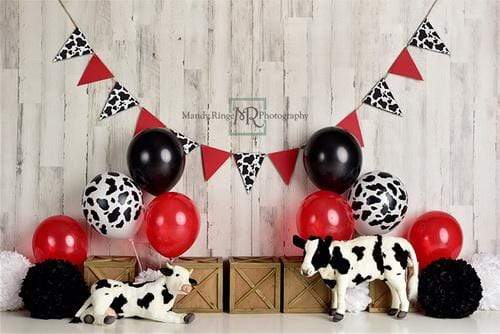 Katebackdrop£ºKate Cow Birthday Children Backdrop Designed By Mandy Ringe Photography